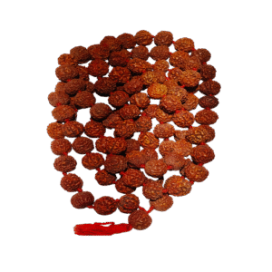 5 Mukhi Rudraksha Japa Mala – Original Beads for Daily Chanting